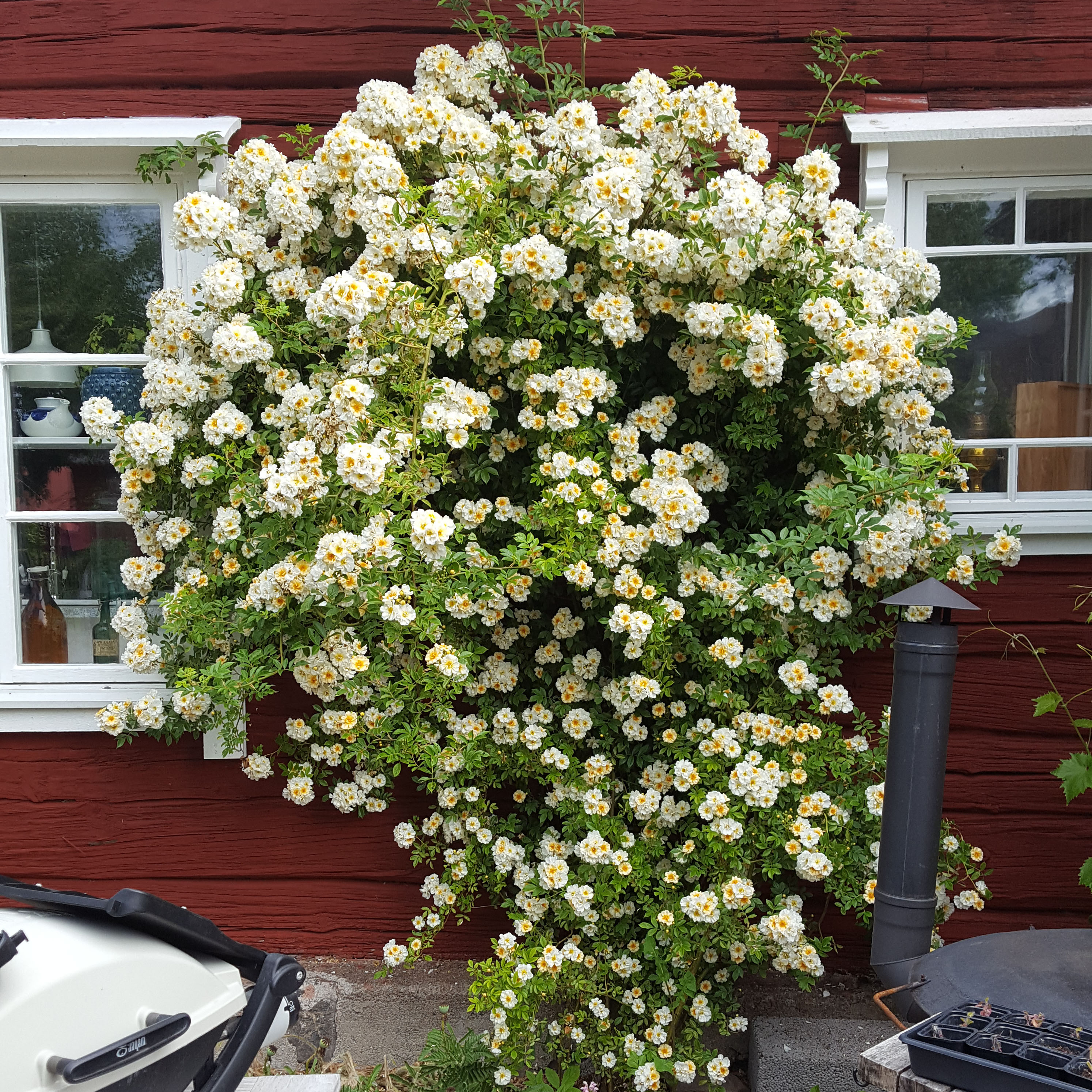 20190629_084633